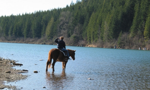 Leavenworth Washington Activities Horseback Riding