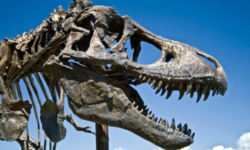 Upper Valley Museum
