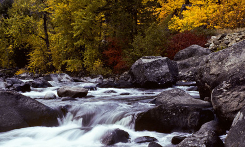 Icicle Creek