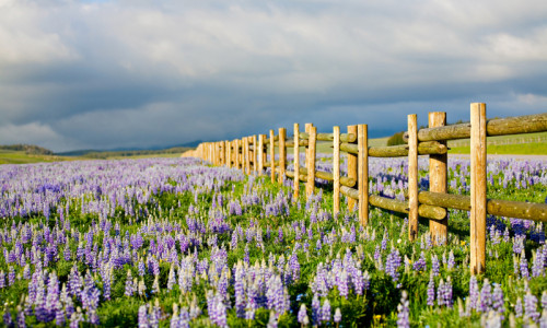 Barn Beach Reserve