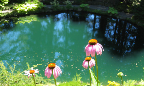 Ohme Gardens