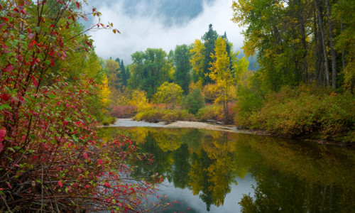 Wenatchee National Forest