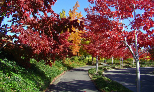 Wenatchee Riverfront Park