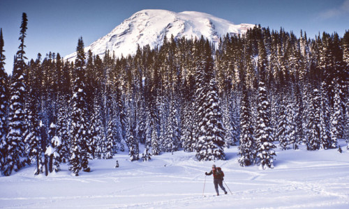Skiing